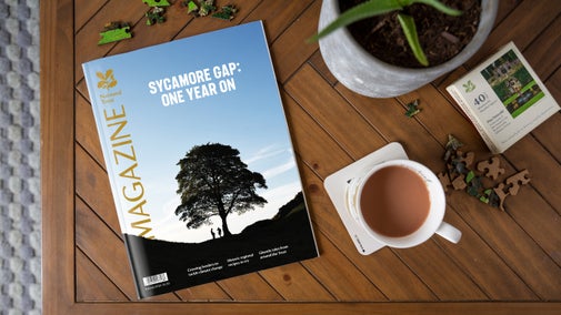 Autumn 2024 magazine front cover